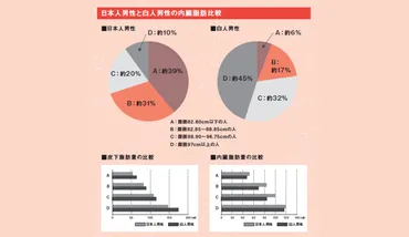 内臓脂肪の増加がコロナ重症化リスクに 