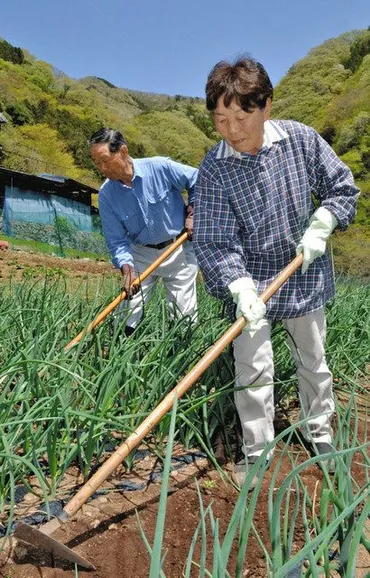 お年寄り 高い「健康度」 高齢化率日本一の群馬県南牧村：東京新聞 TOKYO Web