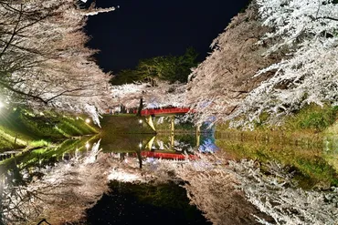 弘前公園 夜桜ライトアップ 