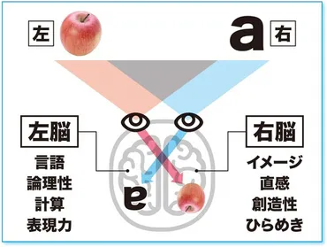 プレゼンするときは相手の「左目」を見て話せ！ 