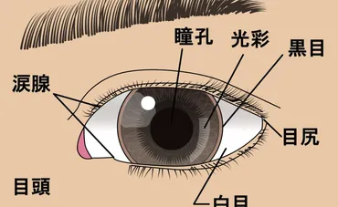 泣きたいのに泣けない？その原因と心理を徹底解説涙が出ないのはなぜ？!