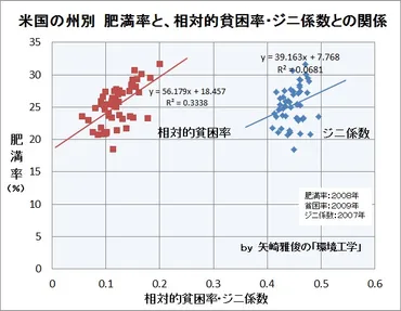 米国の肥満率と貧困率、そしてジニ係数(シカゴ、アメリカ、州別、黒人、白人、ヒスパニック) : 矢崎雅俊の゛環境工学゛