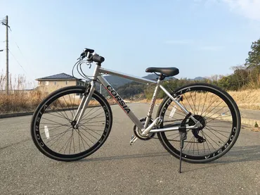 コストコの自転車EISANクロスバイク20インチがお買い得すぎた 