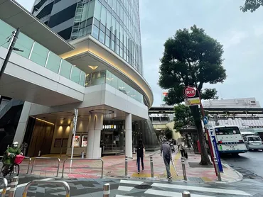 小岩駅周辺の住みやすさは?治安や口コミ・家賃相場・子育て環境などを解説!