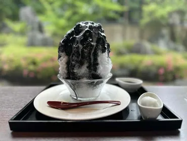 黒いかき氷?!ごま蜜たっぷり!ごま摺りかき氷【松栄堂・岩手県一関市】