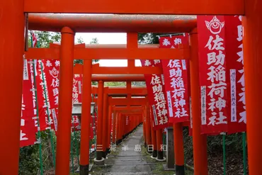 鎌倉の恋愛パワースポット！縁結びの神社仏閣は本当にあるの？鎌倉の恋愛パワースポットとは!!?