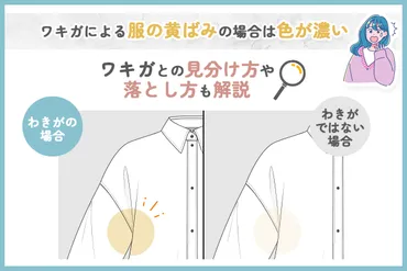 脇汗の黄ばみはなぜ？原因と落とし方、予防方法を徹底解説！脇汗の黄ばみとは！？