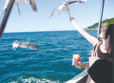 笹川流れ観光汽船・地魚処天ぴ屋・海カフェ 