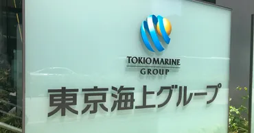 損保大手4社によるカルテル問題？業界構造的な問題点とは!?カルテル発覚から処分までを徹底解説