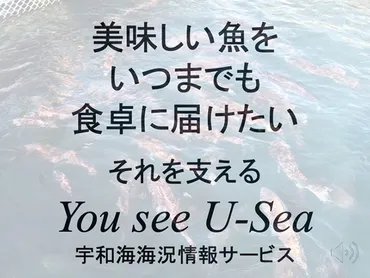 漁業者の夢を叶えた宇和海海況情報サービス『You see U