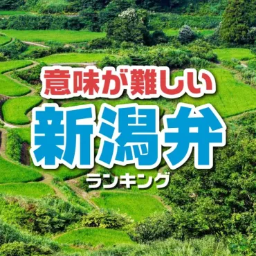 新潟弁ってこんなに面白い！方言の奥深さに迫る！新潟弁の世界とは！？