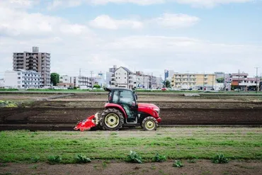 主食のコメ゛を減らし国民の負担を高める減反政策は世界の異例