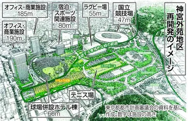 神宮外苑再開発、球場建設でイチョウ保全は本当に大丈夫? 基本方針変わらず、残る不安:東京新聞 TOKYO Web