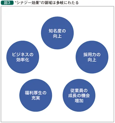 シナジー追求のための PMI取り組みの必要性