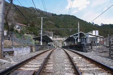 東京なのに?」JR青梅線と中央線が゛鹿の衝突゛で遅延し驚きの声 