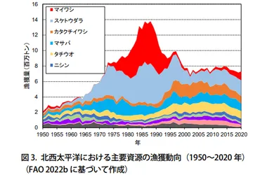 持続可能な漁業とは？水産資源の現状や取組事例、私たちにできること 