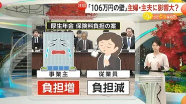 解説】会社の゛負担増゛で…従業員の保険料の負担軽減も 「106万円」の次に「130万円」の壁 主婦・主夫の年金にも影響（FNNプライムオンライン） 