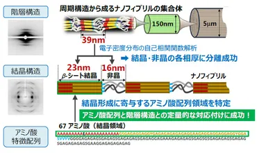 ミノムシ糸は、クモ糸よりも強い？ミノムシ糸の秘密とは！？