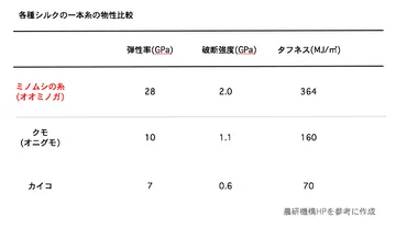 クモ糸を超えるミノムシの糸、強さの秘密を科学的に解明 