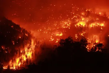 山火事の増加と拡大はなぜ？地球温暖化との関係は？地球温暖化との関係とは！？