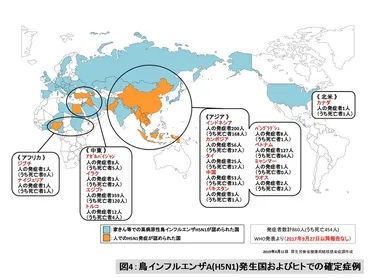 鳥インフルエンザA(H5N1)ウイルス 