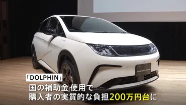 BYDが席巻する中国EV市場？その勢いは止まらない!!