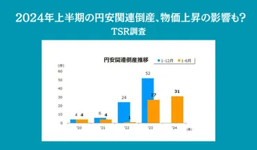 2024年上半期の円安関連倒産、物価上昇の影響も？ TSR調査