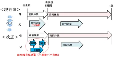 産後パパ育休って実際どうなの？制度の詳細とは！？