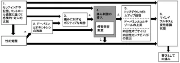 マゾヒズムって、なんで痛みを快楽に感じるの？そのメカニズムとは！？