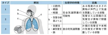 MOCHI：世界初の窒息レジストリ研究 