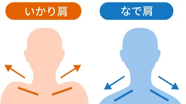 いかり肩は治る？その原因と改善方法、そしてファッションまで徹底解説！いかり肩の原因と解消法とは！？